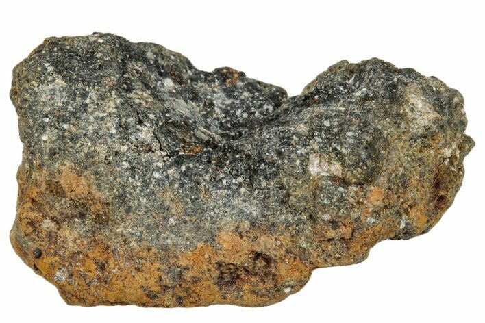 Howardite Meteorite ( g) - Bechar #287020